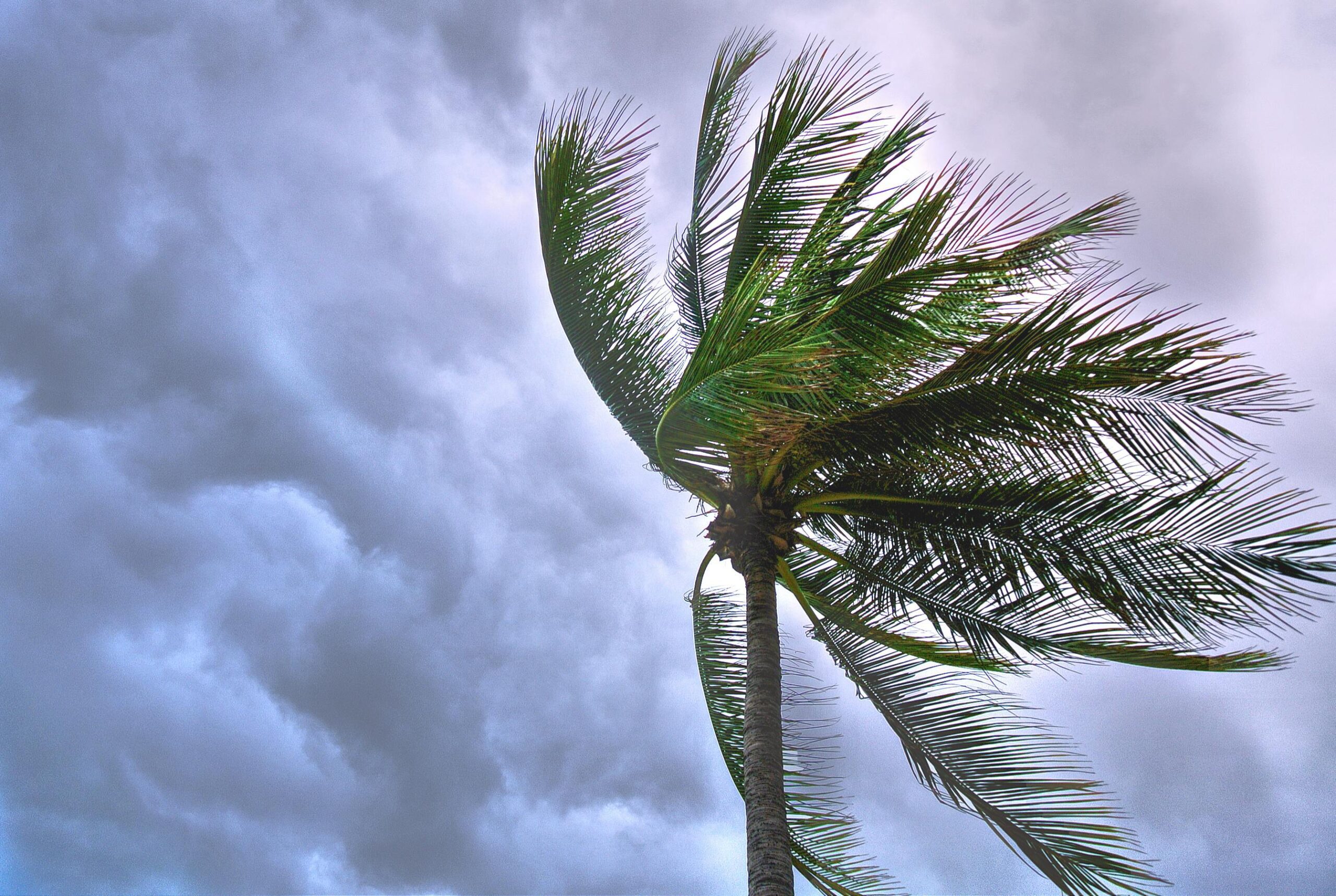 Hurricane Preparedness